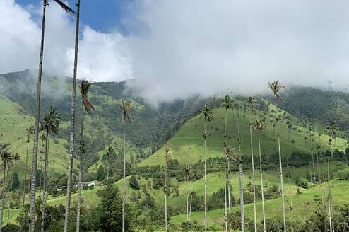 Colombia excursion