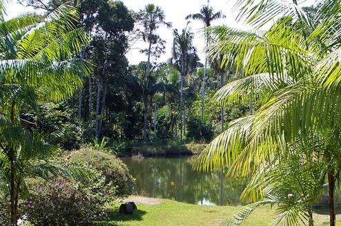 Lake next to the lodge where interns/ volunteers stay
