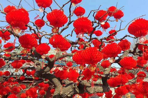 Study Chinese online with Culture Yard