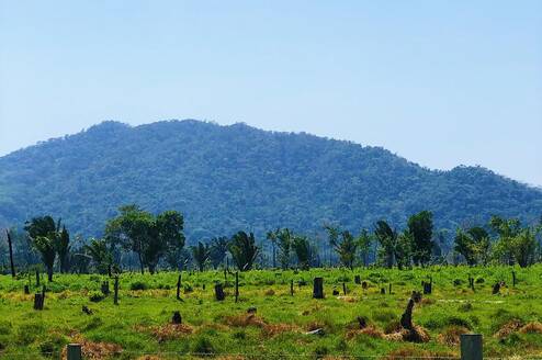 Landscape photo of Belize