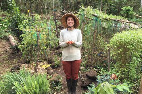 In the garden