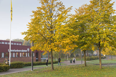 Campus