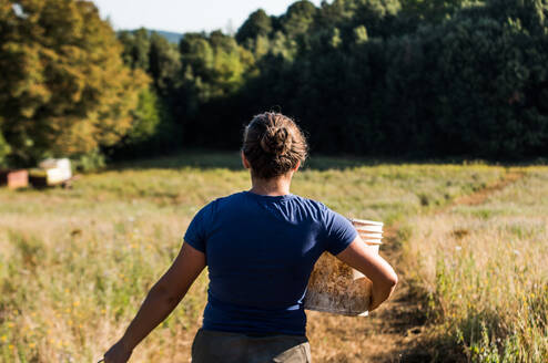 Intern at Work carrying a bucket of water on a farm