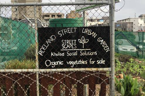 Our Roeland Street Garden