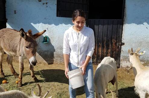 Animal care Project