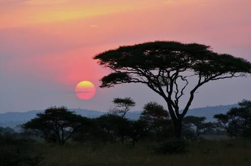 SFS Kenya Semester