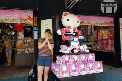 Immerse yourself in Japan's kawaii world