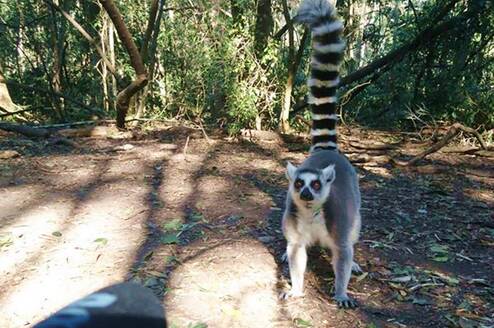 Get close to curious subjects