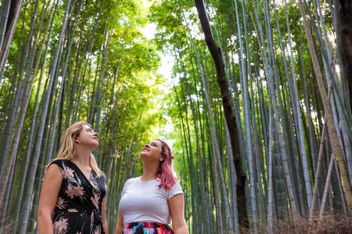 Two woman in a Bamboo Forest in Japan