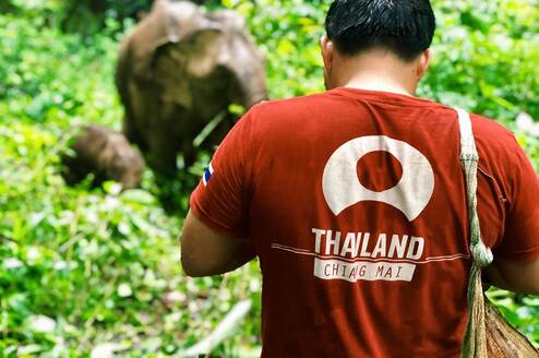 Chiang Mai elephant