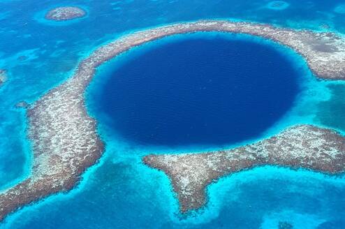 Coral reef