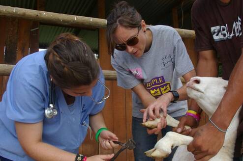 Students gaining fieldwork experience at a local farm.