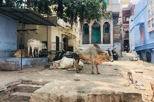 Women and Girls' Empowerment in Rajasthan, India