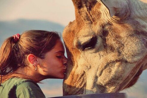 Top Volunteer Projects in South Africa with GoEco