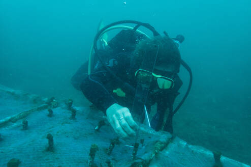 Planting Coral in the nursery