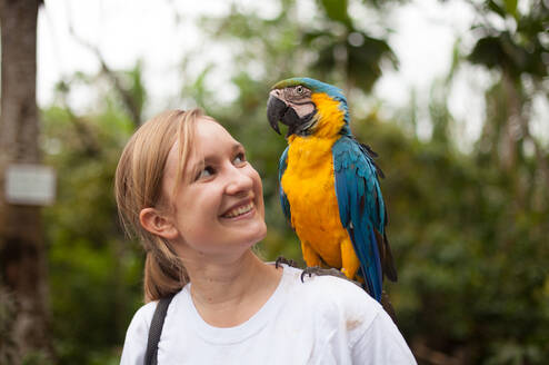 Protect exotic wildlife in the Amazon Rainforest!