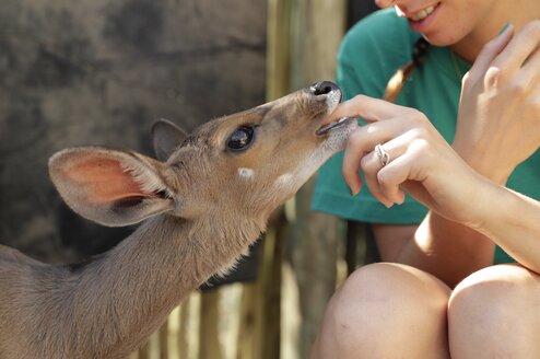 Volunteer With Children AND Animals in South Africa Volunteer interacting with animal
