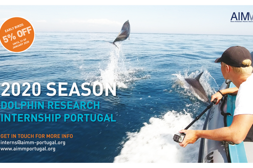 AIMM Dolphin Research Internship