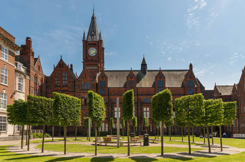 University of Liverpool campus surrounded by green trees & grass and our historic red brick buildings
