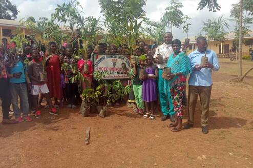 Tree planting in schools