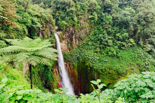Lush jungle and waterfall in Costa Rica