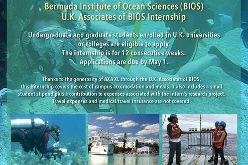 U.K. Associates of BIOS Internship flyer