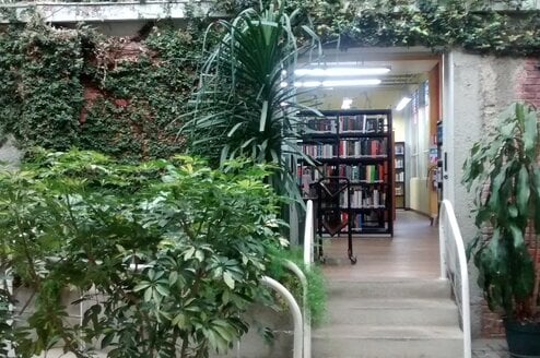 semester study abroad in costa rica with cis abroad