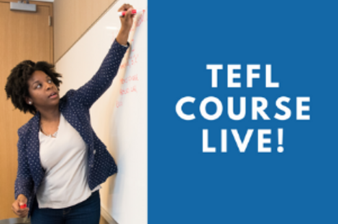 TEFL Course Live