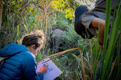 GVI studies