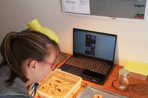 Marine science virtual interns at work