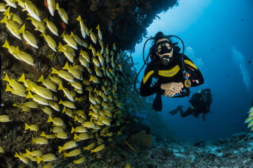PADI Scuba Qualification