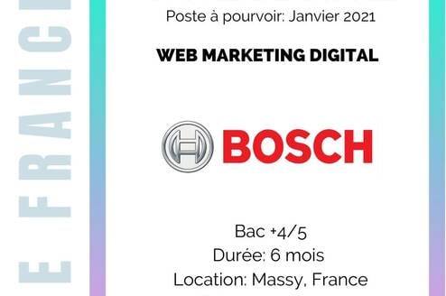 Internship at Bosch - Internship in France - EGE FRANCE