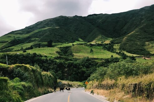 Road through the mountains in Ecuador