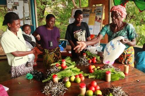 Butterfly Space: Over A Dozen Diverse Volunteer Opportunities in Nkhata Bay, Malawi
