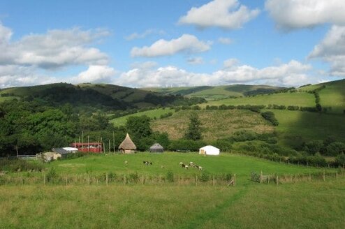 What to Know About WWOOFing Around the World