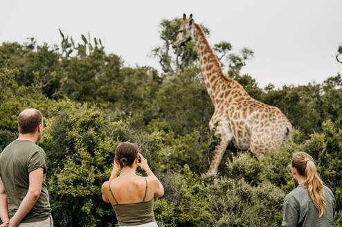 Wildlife conservation volunteer project