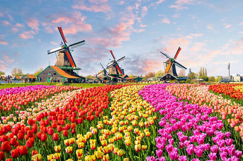 CIEE College Study Abroad in Amsterdam, Netherlands