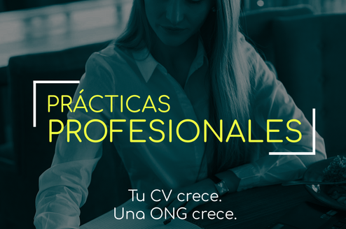 Prácticas profesionales