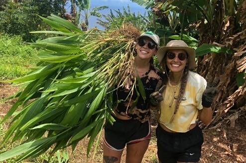 forest restoration with local non-profit