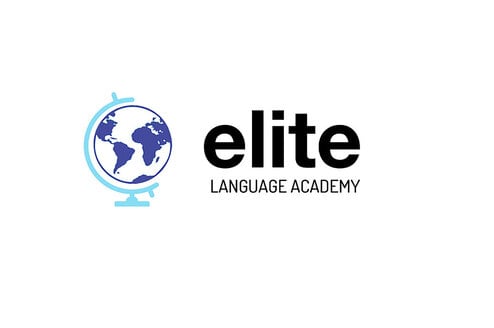 Facilitating Professional Success & Language- Cross Cultural Training in a Virtual Space