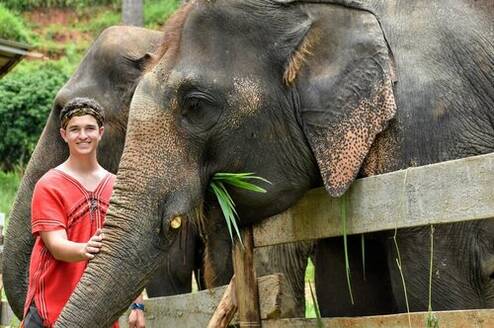 Do Right by Elephants