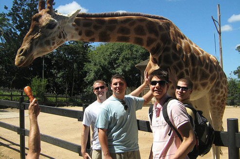 Visit to an Australian zoo