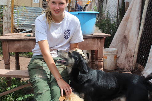 Dog Shelter Volunteering