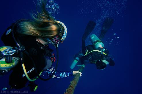 Divers on safety stop