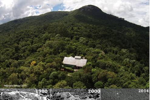 Rewilding an old mine at Reserva Jaguarapira 