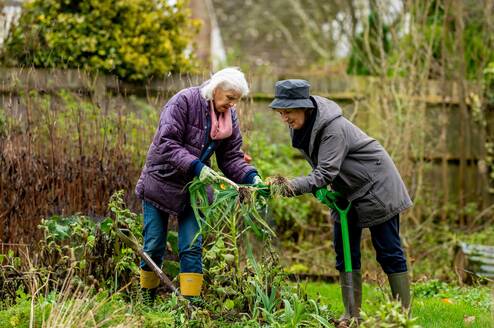 Two older adult women gardening.