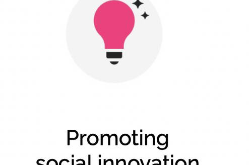 Promoting Social Innovation