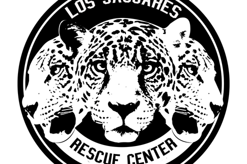 Represents our jaguars, and nantar the mom in front