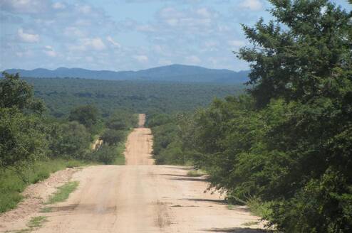 Road to DAKTARI