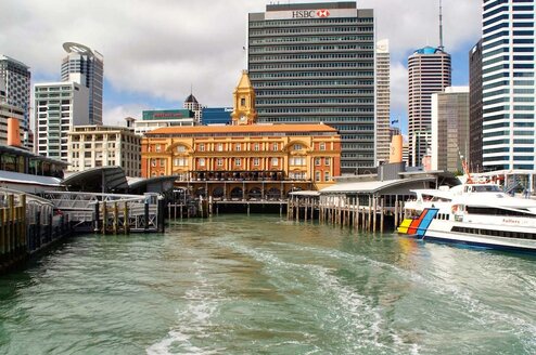 TEAN: Study Abroad in Auckland, New Zealand